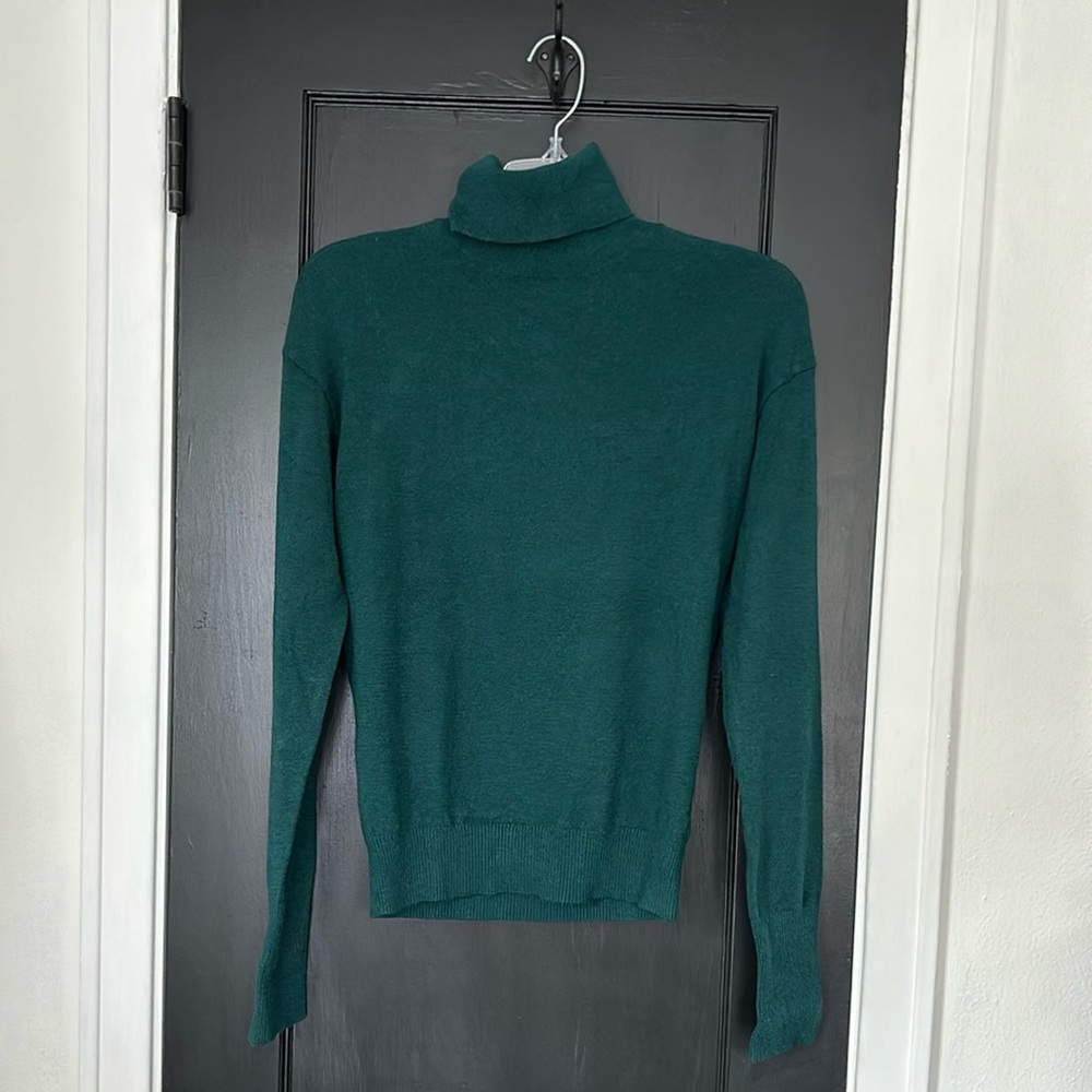 NWOT Express Turtleneck Sweater
